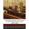 American Indians and Crime: A Bjs Statistical Profile, 1992-2002