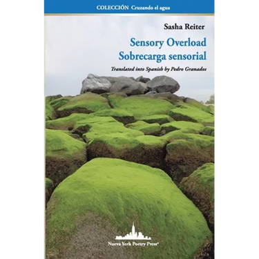 Sensory Overload: Sobrecarga Sensorial (Bilingual edition)