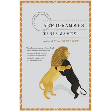 Aerogrammes: And Other Stories