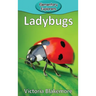 Ladybugs