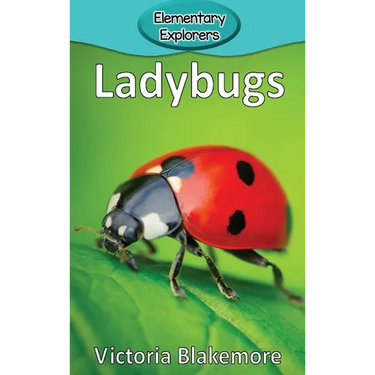 Ladybugs