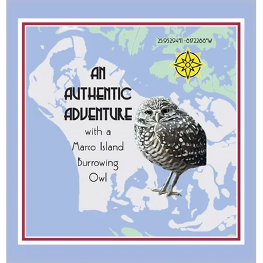An Authentic Adventure with a Marco Island Burrowing Owl
