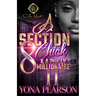 A Section 8 Chick & A Philly Millionaire 2: An African American Romance