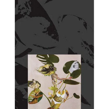 Kandis Williams: A Surface