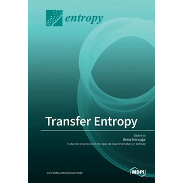 Transfer Entropy
