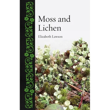 Moss and Lichen