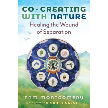 Co-Creating with Nature: Healing the Wound of Separation