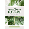 The Fiddle Leaf Fig Expert: Your Guide to Growing Healthy Ficus Lyrata Plants