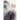 In His Image