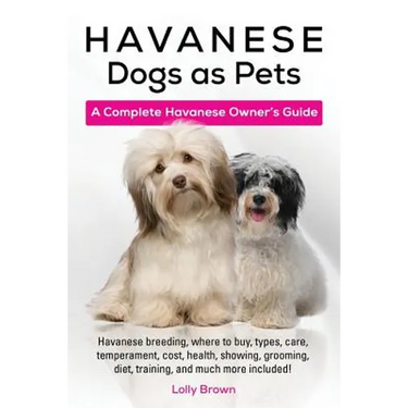 Havanese Dogs as Pets: Havanese breeding, where to buy, types, care, temperament, cost, health, showing, grooming, diet, training, and much m