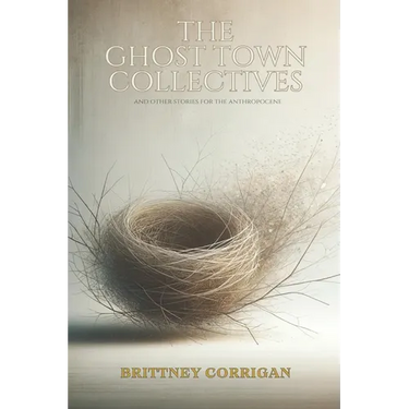 The Ghost Town Collectives: And Other Stories for the Anthropocene