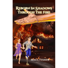 Reborn In Shadows: Through The Fire