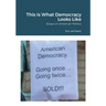 This Is What Democracy Looks Like: Essays on American Politics