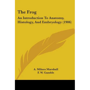 The Frog: An Introduction To Anatomy, Histology, And Embryology (1906)