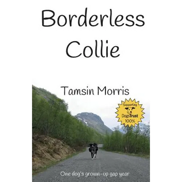 Borderless Collie: One dog's grown up gap year