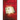 The Memory Book