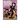 Noss and Zakuro Vol. 1