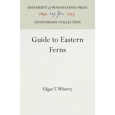 Guide to Eastern Ferns