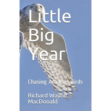 Little Big Year: Chasing Acadia's Birds
