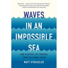 Waves in an Impossible Sea: How Everyday Life Emerges from the Cosmic Ocean