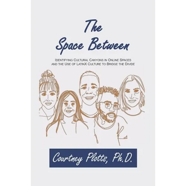The Space Between: Identifying Cultural Canyons in Online Spaces and the use of LatinX Culture to Bridge the Divide