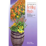 Your Florida Guide to Bedding Plants: Selection, Establishment, and Maintenance
