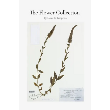 The Flower Collection