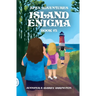 Island Enigma: A children's adventure book