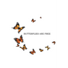 Butterflies Are Free