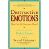 Destructive Emotions: A Scientific Dialogue with the Dalai Lama