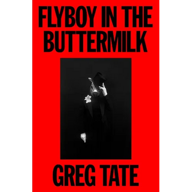 Flyboy in the Buttermilk: Essays on Contemporary America