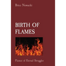 Birth of Flames: Flames of Eternal Struggles
