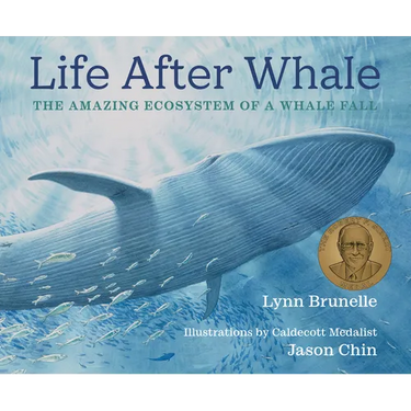 Life After Whale: The Amazing Ecosystem of a Whale Fall