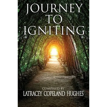 Journey to Igniting