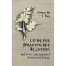 Guide for Drawing the Acanthus, and Every Description of Ornamental Foliage