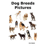 Dog Breeds Pictures: Over 100 Breeds Including Chihuahua, Pug, Bulldog, German Shepherd, Maltese, Beagle, Rottweiler, Dachshund, Golden Ret