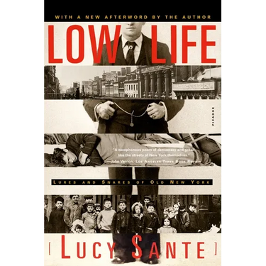 Low Life: Lures and Snares of Old New York