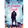 A Sudden Crush (Special Rainbow Edition): An enemies to lovers, grumpy sunshine romantic comedy