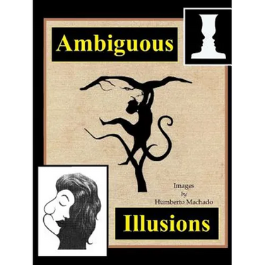 Ambiguous Illusions