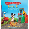 Zorro the Boston Terrier: Shipped to Argentina