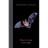 What Is It Like to Be a Bat?