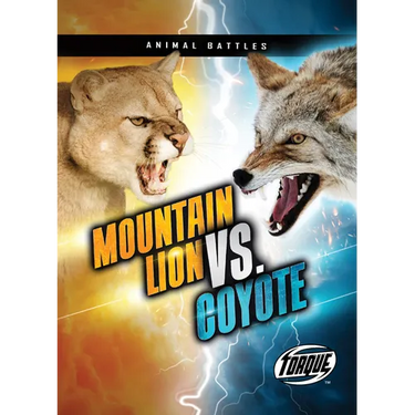 Mountain Lion vs. Coyote