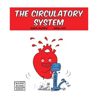 The Circulatory System