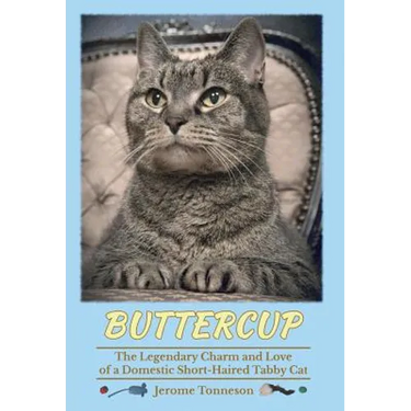 Buttercup - The Legendary Charm and Love of a Domestic Short-Haired Tabby Cat