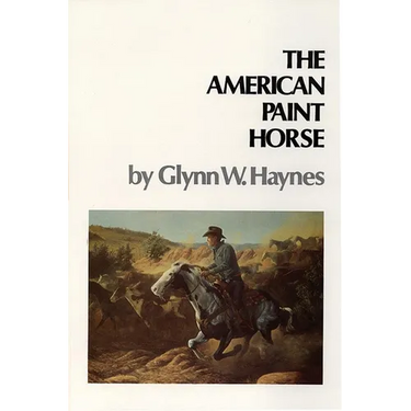 American Paint Horse