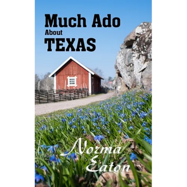 Much Ado About Texas