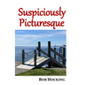 Suspiciously Picturesque