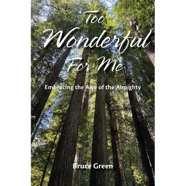 Too Wonderful for Me: Embracing the Awe of the Almighty