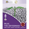 Bilal The Abyssinian - One Light, Many Colors