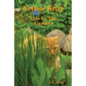 Yellow Kitty, Life In The Garden